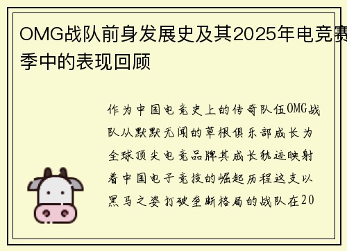 OMG战队前身发展史及其2025年电竞赛季中的表现回顾