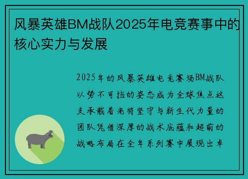 风暴英雄BM战队2025年电竞赛事中的核心实力与发展